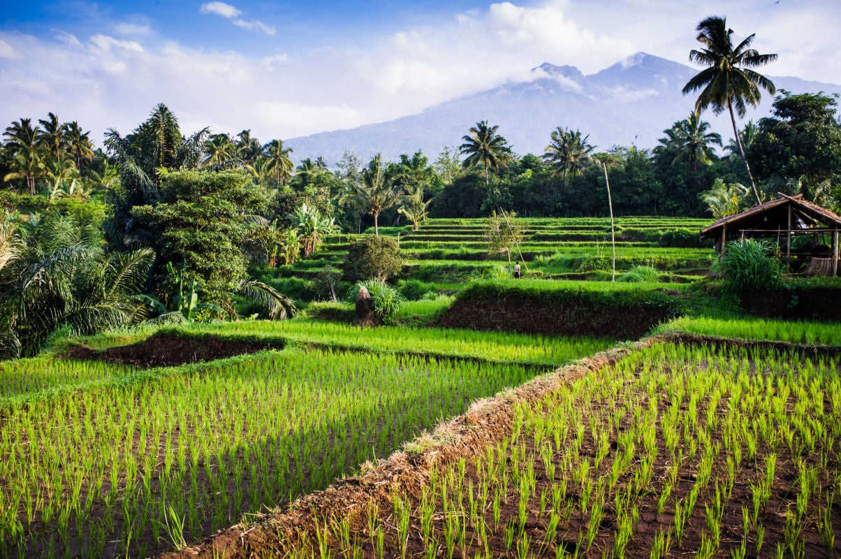 Avoid The Crowds With These 4 Lesser Known Bali Alternatives In Southeast Asia